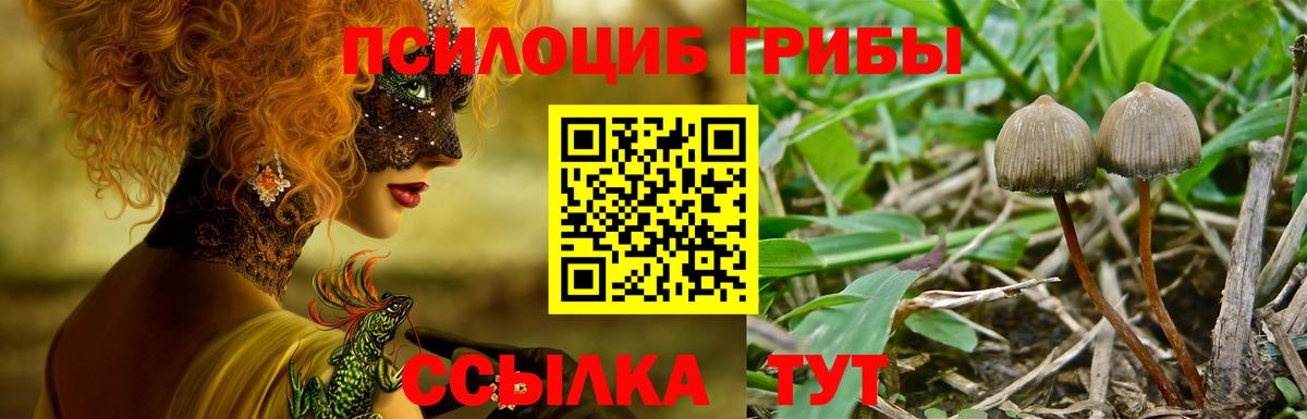 Псилоцибиновые грибы GOLDEN TEACHER Железногорск